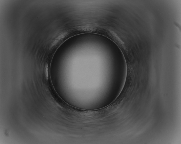 X0000093380020200710191143