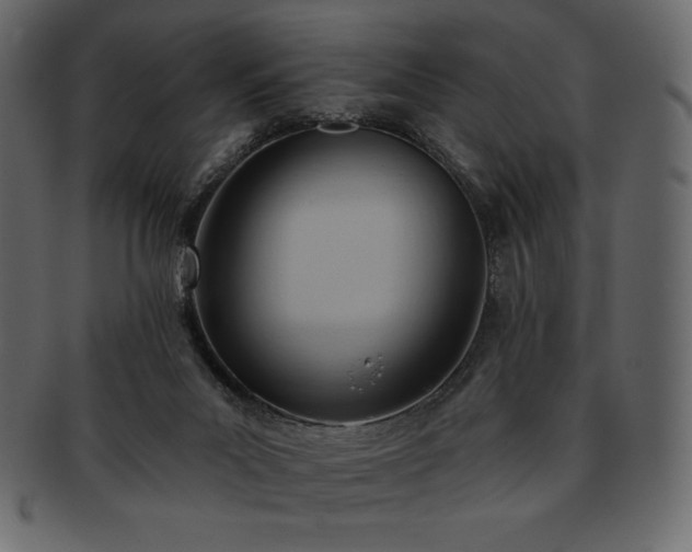 X0000093380023200710191143