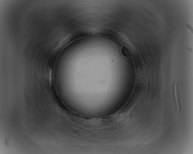 X0000093380024200710191143