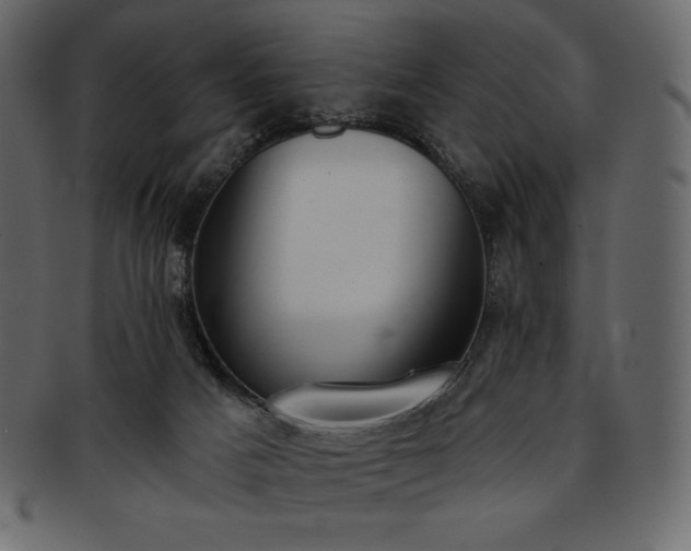 X0000093380025200710191143