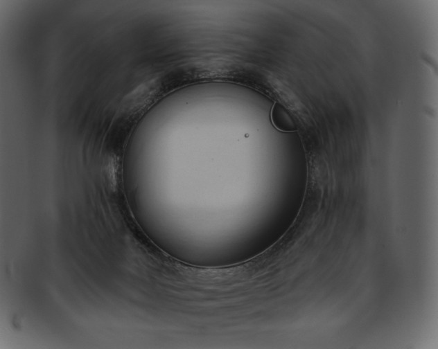 X0000093380026200710191143