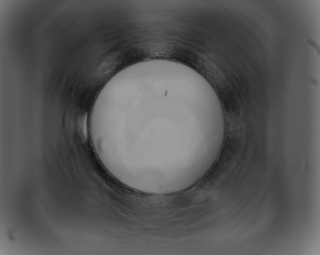 X0000093380028200710191143