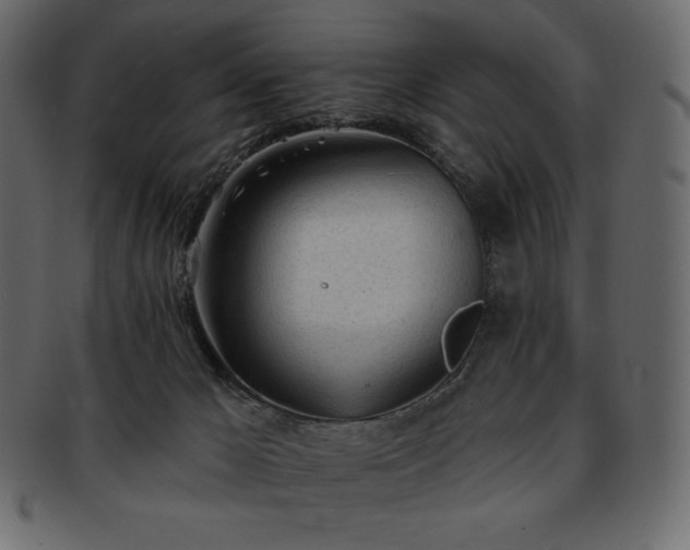 X0000093380029200710191143