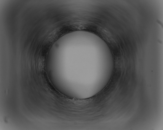 X0000093380030200710191143