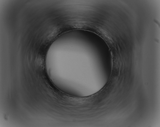 X0000093380031200710191143