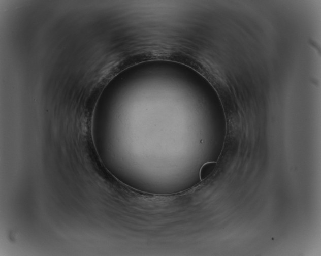 X0000093380032200710191143