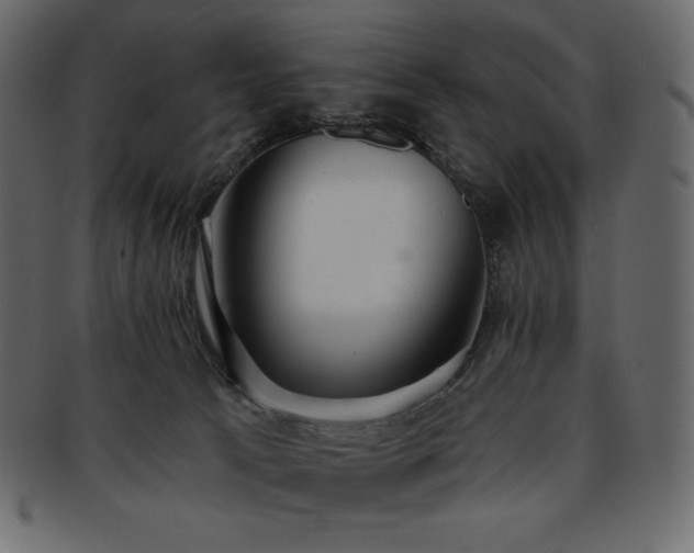 X0000093380033200710191143