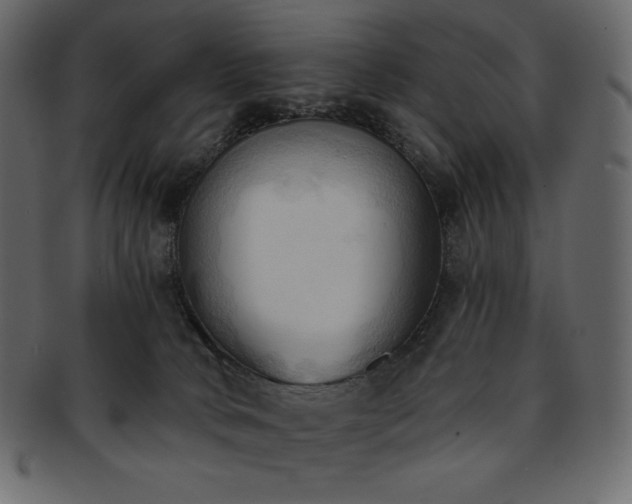 X0000093380034200710191143