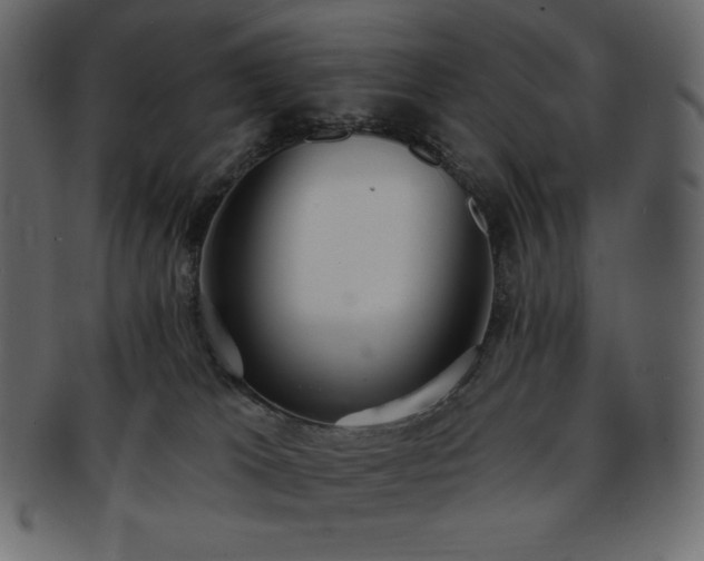 X0000093380037200710191143