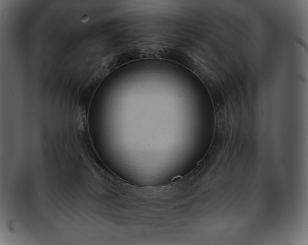 X0000093380038200710191143