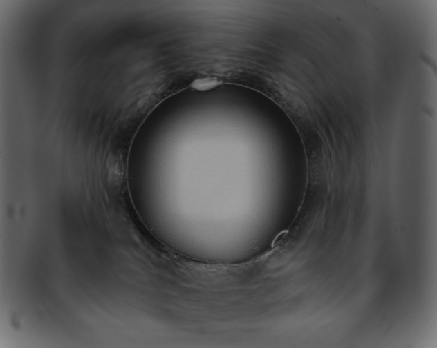 X0000093380040200710191143