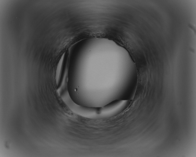 X0000093380041200710191143