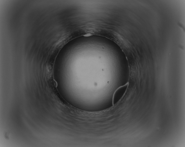 X0000093380043200710191143