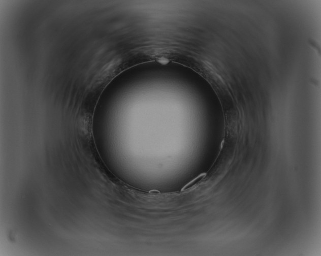 X0000093380044200710191143