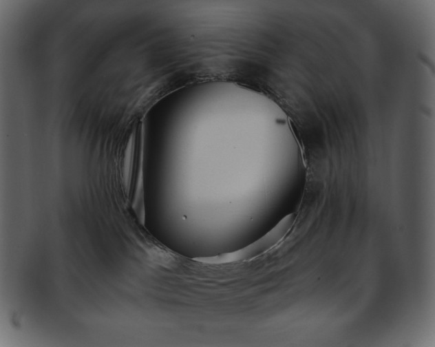 X0000093380045200710191143