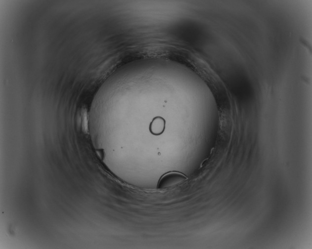 X0000093380046200710191143