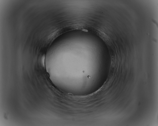 X0000093380047200710191143