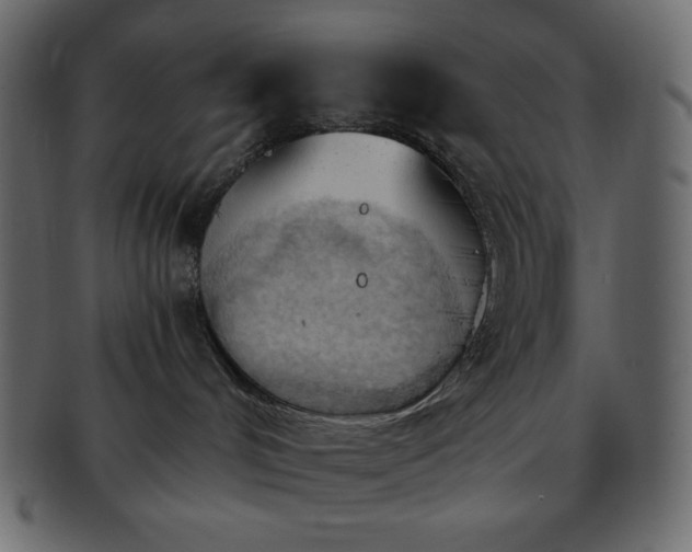 X0000093380048200710191143