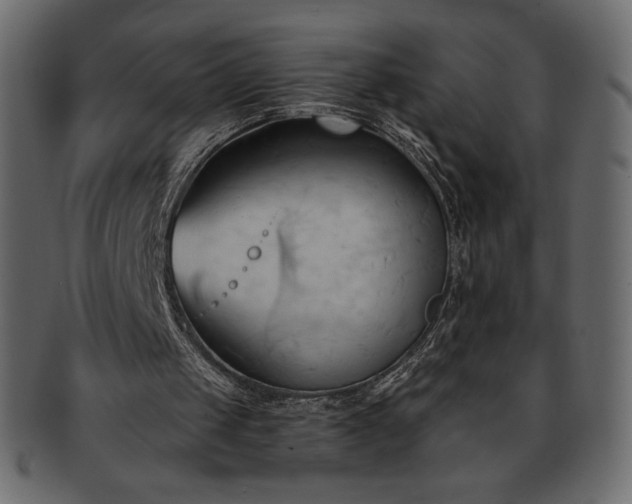 X0000093380049200710191142