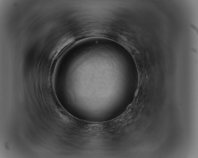 X0000093380050200710191142