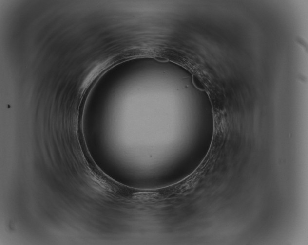 X0000093380051200710191142