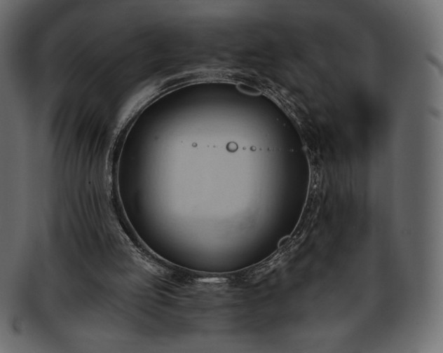 X0000093380053200710191142