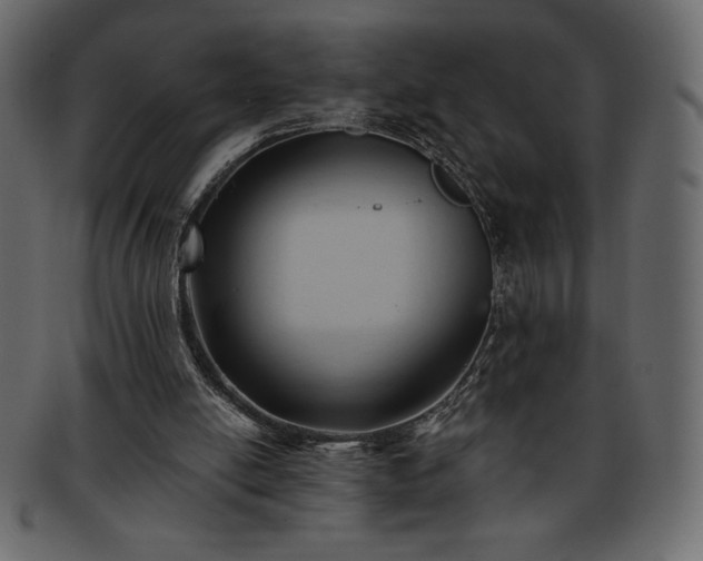 X0000093380054200710191142