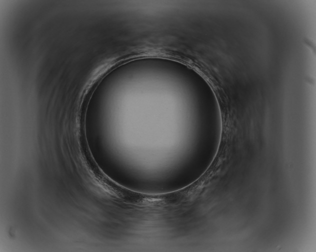 X0000093380055200710191142