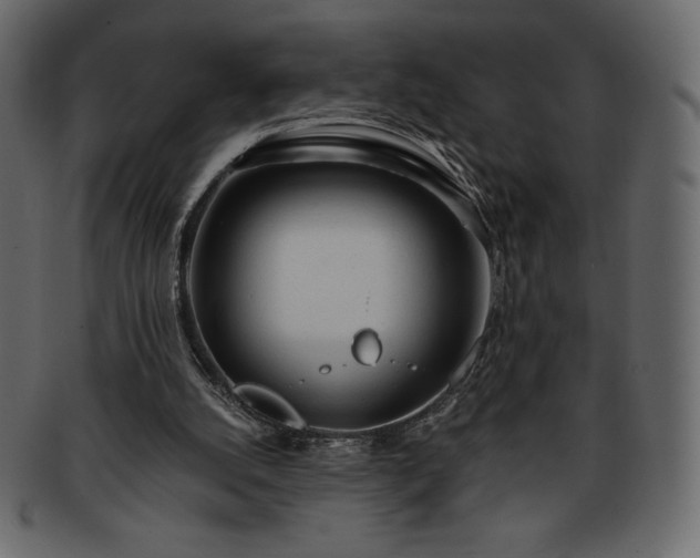 X0000093380056200710191142