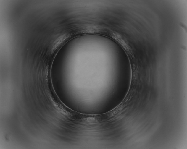 X0000093380058200710191142