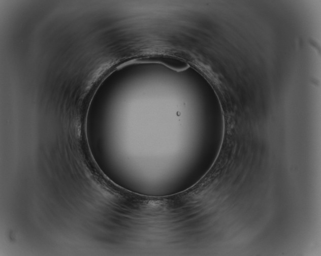 X0000093380060200710191142