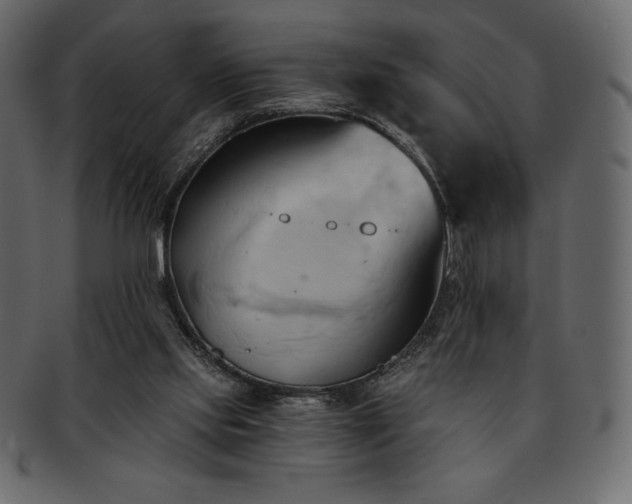 X0000093380061200710191142