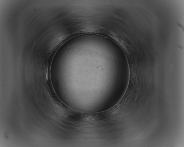 X0000093380062200710191142