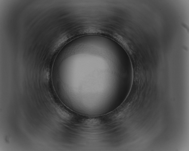 X0000093380063200710191142