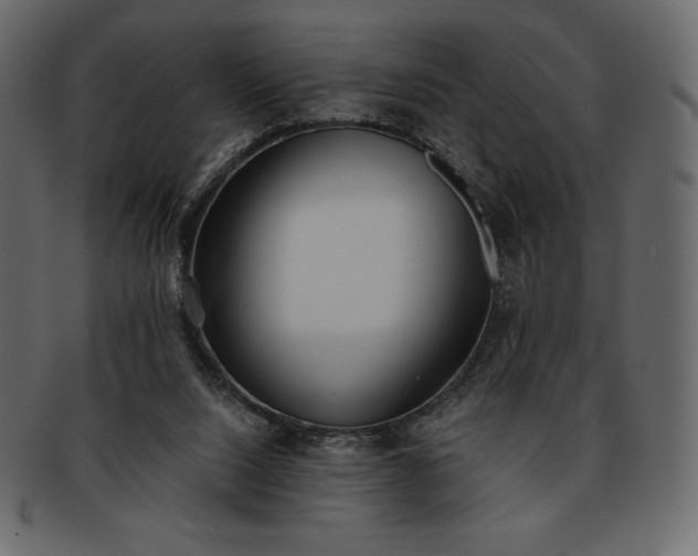 X0000093380064200710191142