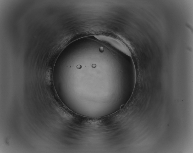 X0000093380065200710191142