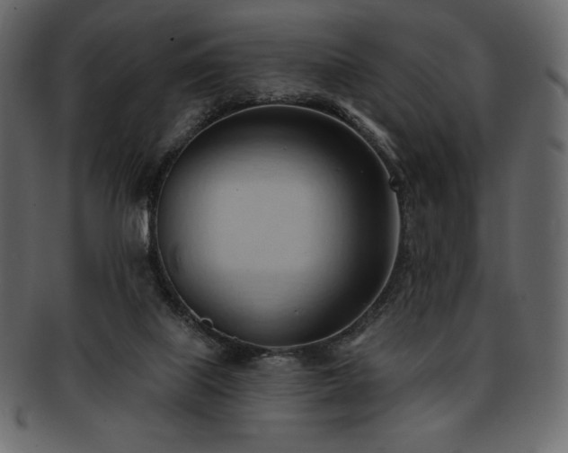 X0000093380067200710191142