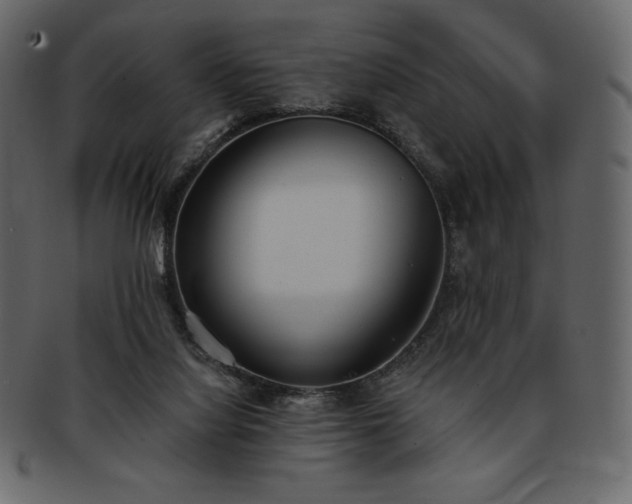 X0000093380068200710191142