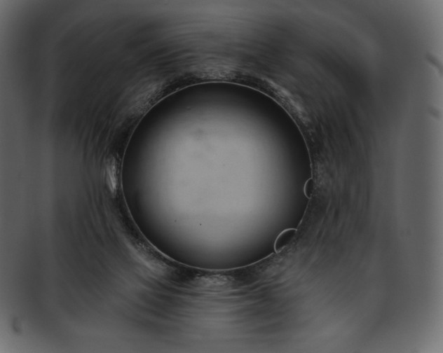 X0000093380069200710191142