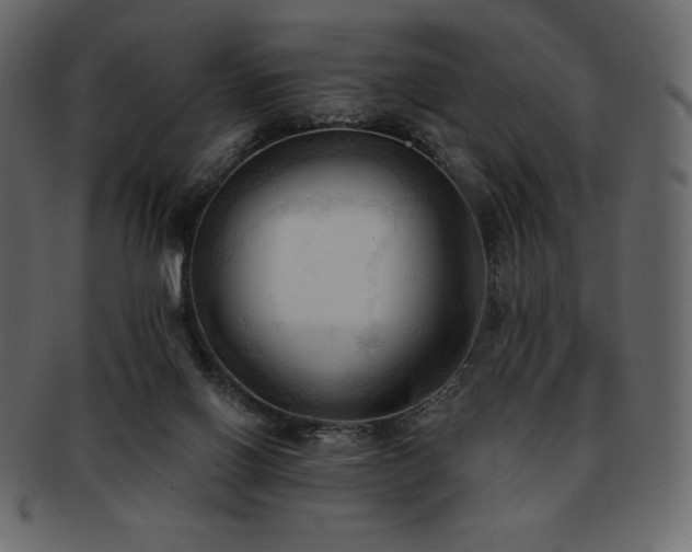 X0000093380070200710191142