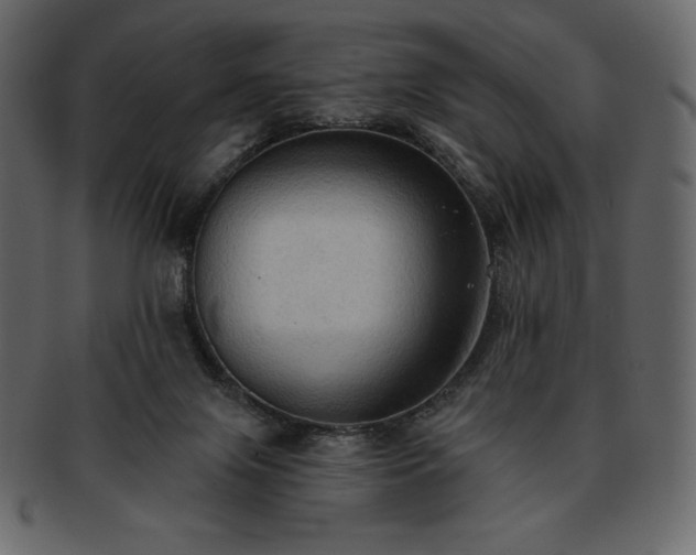 X0000093380071200710191142