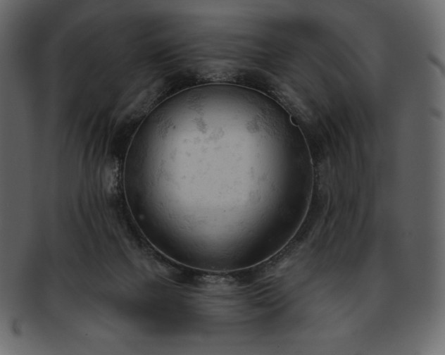 X0000093380073200710191142