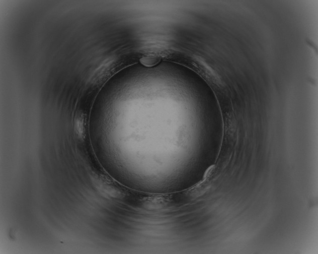 X0000093380074200710191142