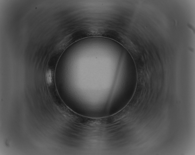 X0000093380075200710191142