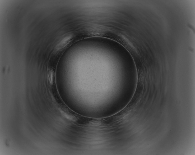 X0000093380076200710191142