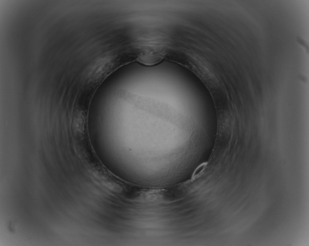 X0000093380078200710191142