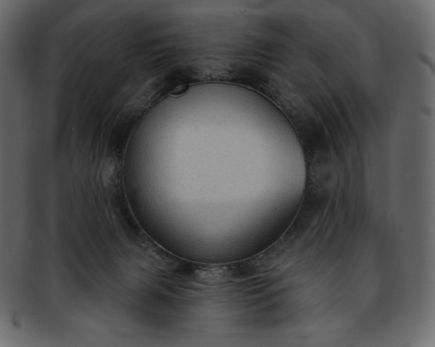 X0000093380079200710191142