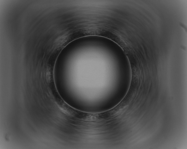 X0000093380080200710191142