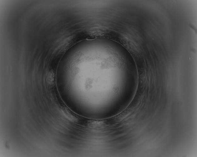 X0000093380081200710191142