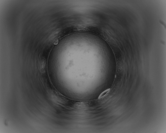 X0000093380082200710191142